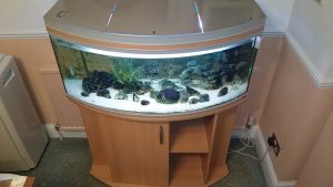 شیشه خم آکواریوم