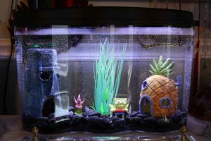 شیشه کریستال بلژیک