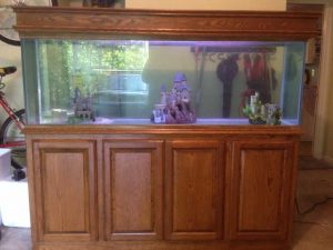 قیمت شیشه آکواریوم