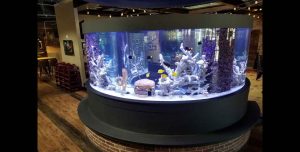 قیمت شیشه آکواریوم