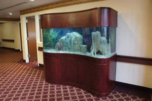 شیشه خم آکواریوم