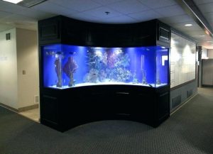 شیشه خم آکواریوم