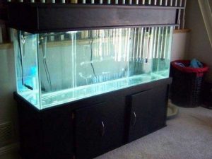 شیشه 10 میل کریستال