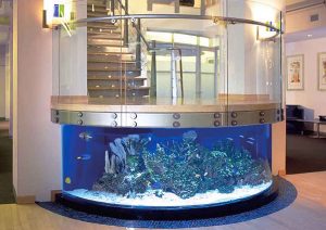 قیمت شیشه آکواریوم