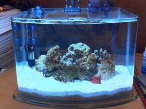 شیشه 10 میل کریستال