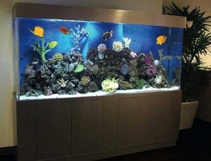 شیشه خم آکواریوم