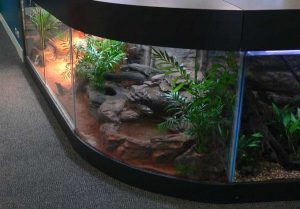 شیشه کریستال آکواریوم طرح دار