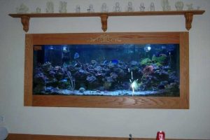 شیشه خم آکواریوم