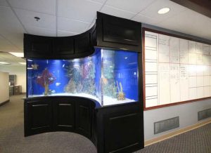 شیشه خم آکواریوم