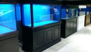 قیمت شیشه آکواریوم