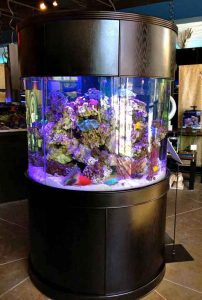 شیشه آکواریوم استوانه