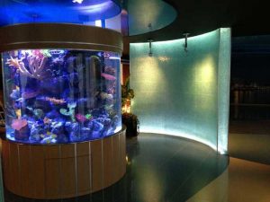 شیشه آکواریوم استوانه