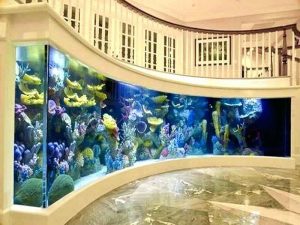 شیشه کریستال ایران