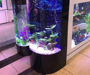 شیشه آکواریوم استوانه