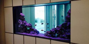 قیمت شیشه آکواریوم