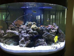 شیشه آکواریوم استوانه ای