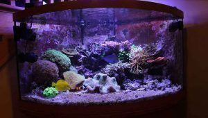 شیشه خم آکواریوم