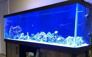 شیشه کریستال آکواریوم