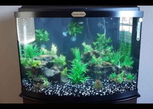 شیشه خم آکواریوم