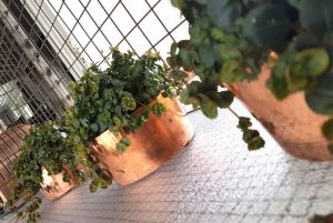 شیشه ضد حریق