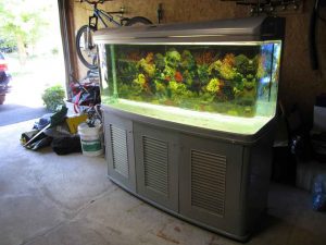 شیشه کریستال بلژیک