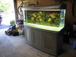 شیشه 20 میل کریستال