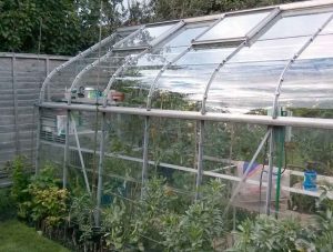 شیشه رومیزی شامپاینی