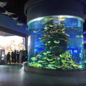 شیشه بیست میل