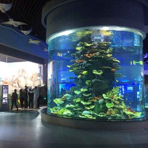 آسانسور شیشه ای